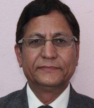 Prof Dr Basanta K Shrestha